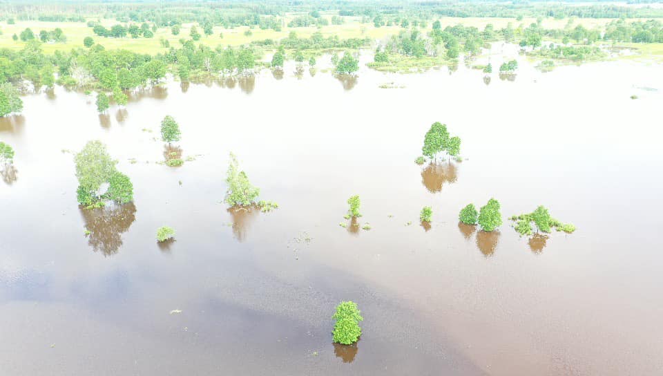 Autors: Foto: Jurijs Prokofjevs