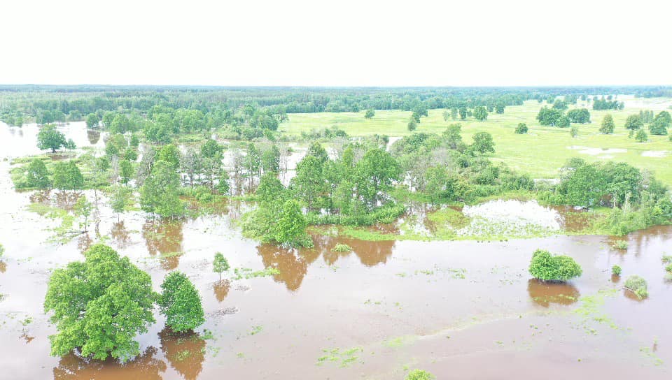 Autors: Foto: Jurijs Prokofjevs