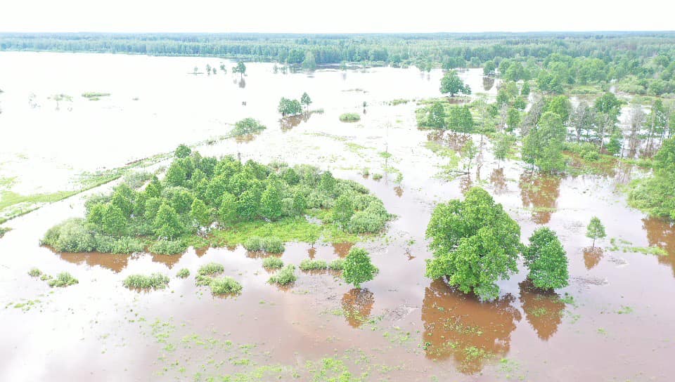 Autors: Foto: Jurijs Prokofjevs