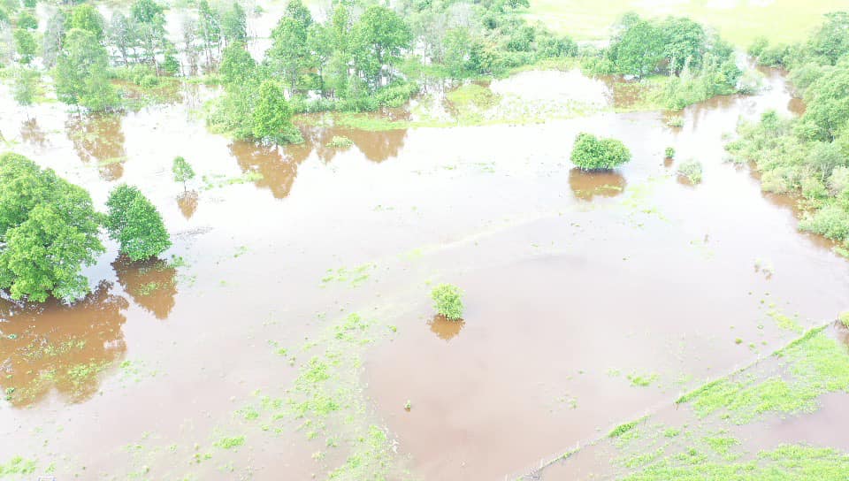 Autors: Foto: Jurijs Prokofjevs