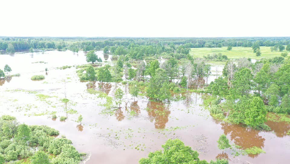 Autors: Foto: Jurijs Prokofjevs