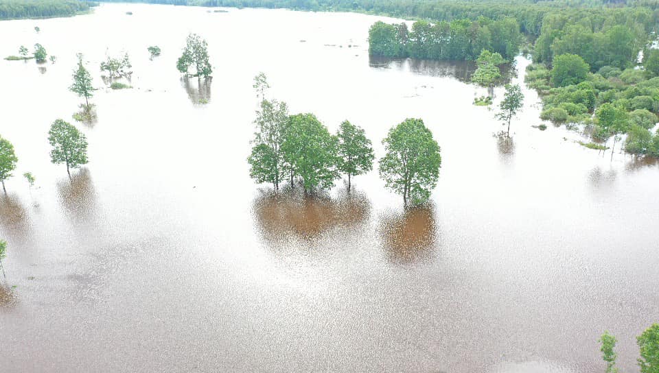 Autors: Foto: Jurijs Prokofjevs