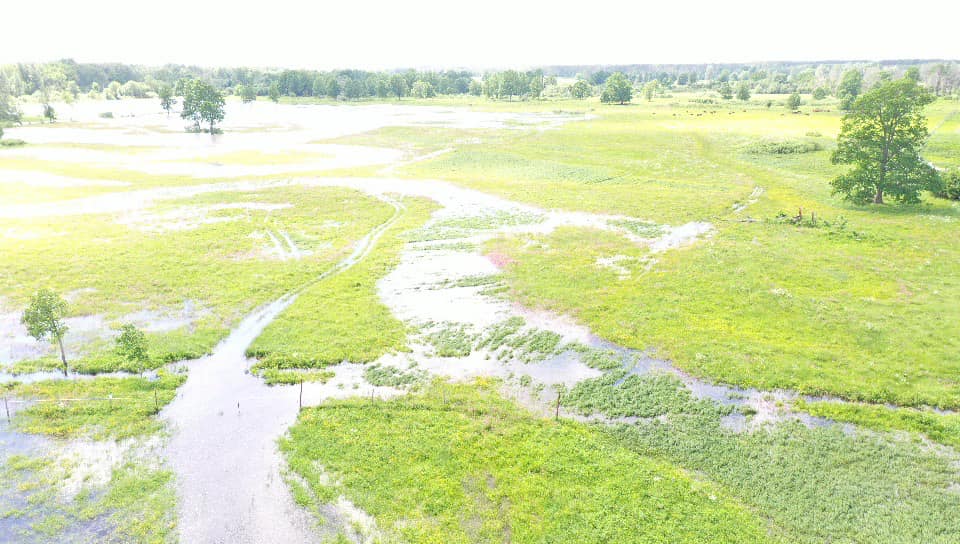 Autors: Foto: Jurijs Prokofjevs