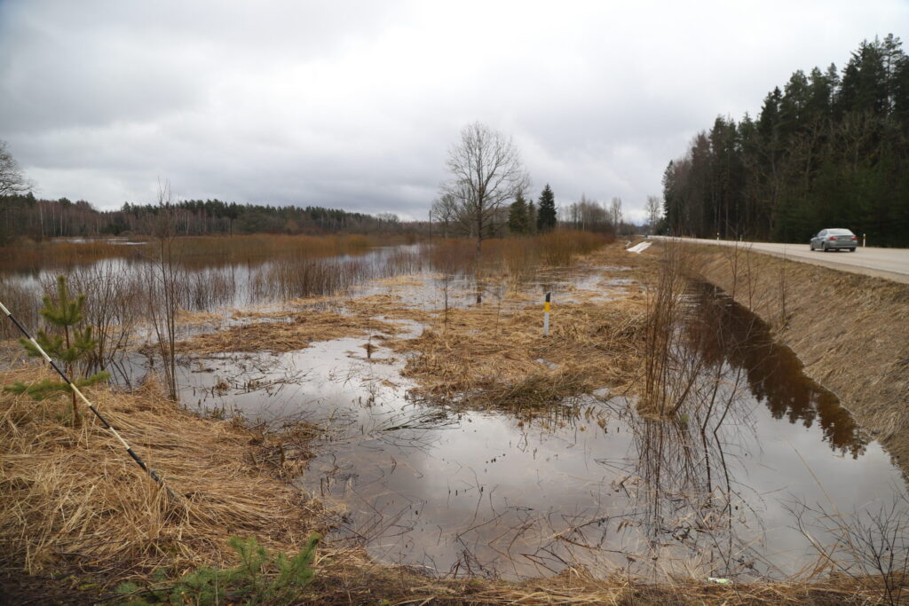 Autors: Foto: Gatis Bogdanovs