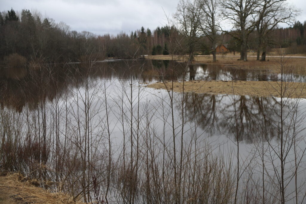 Autors: Foto: Gatis Bogdanovs