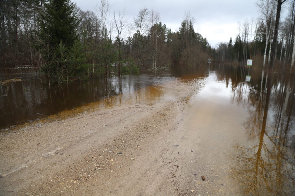 Autors: Foto: Gatis Bogdanovs