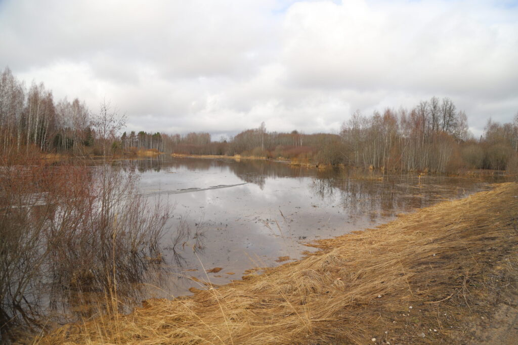 Autors: Foto: Gatis Bogdanovs