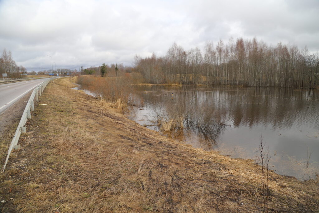 Autors: Foto: Gatis Bogdanovs