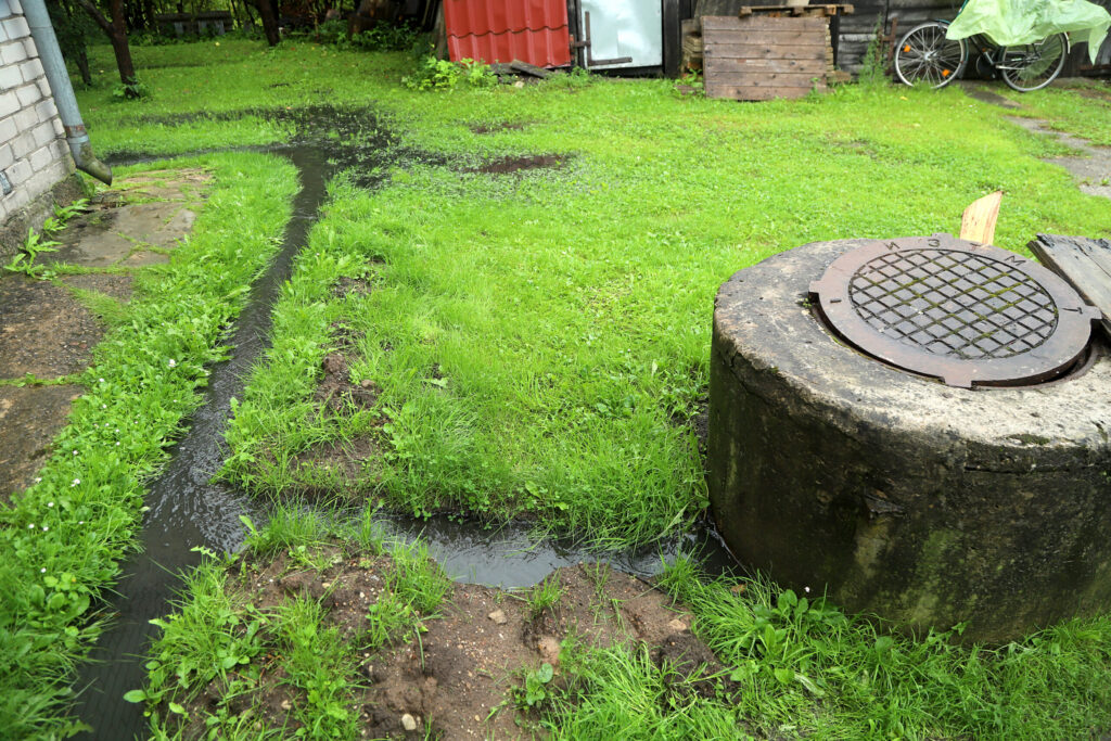 KOPĀ ar satrauktajiem iedzīvotājiem “Dzirkstele” devās uz Ābeļu ielu un pārliecinājās, ka Ābeļu ielā 26 pēc lielajiem nokrišņiem ūdens spiež ārā kanalizācijas notekūdeņus.
Autors: FOTO: GATIS BOGDANOVS