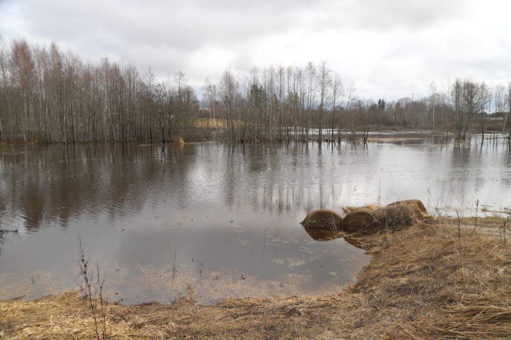 Autors: Foto: Gatis Bogdanovs