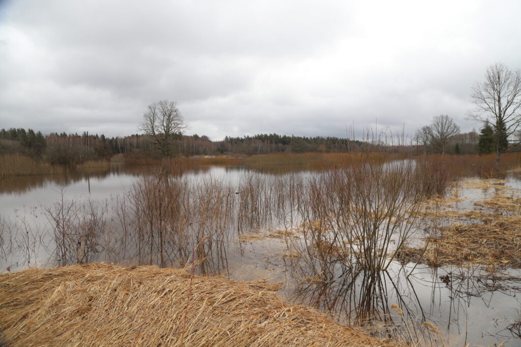 Autors: Foto: Gatis Bogdanovs