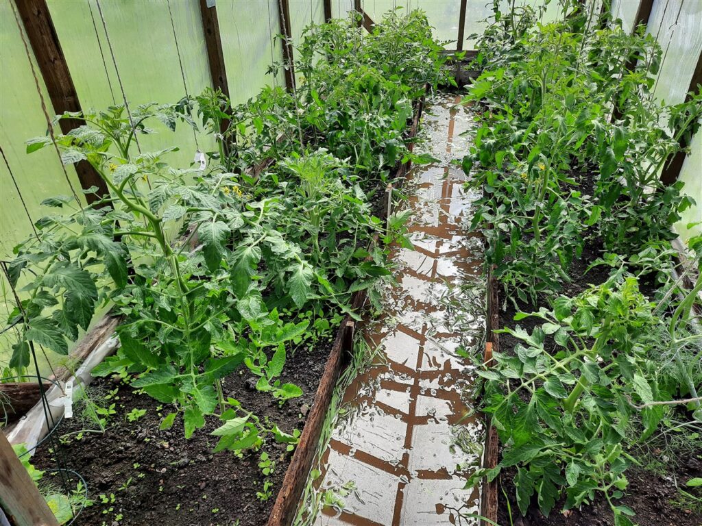 Autors: Foto: Gatis Bogdanovs