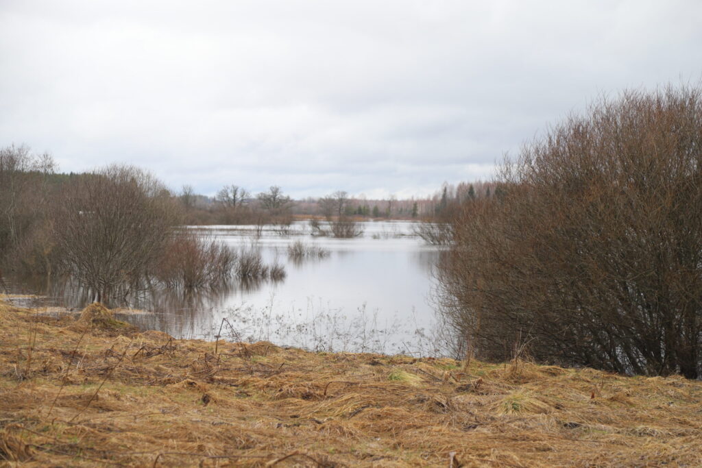 Autors: Foto: Gatis Bogdanovs