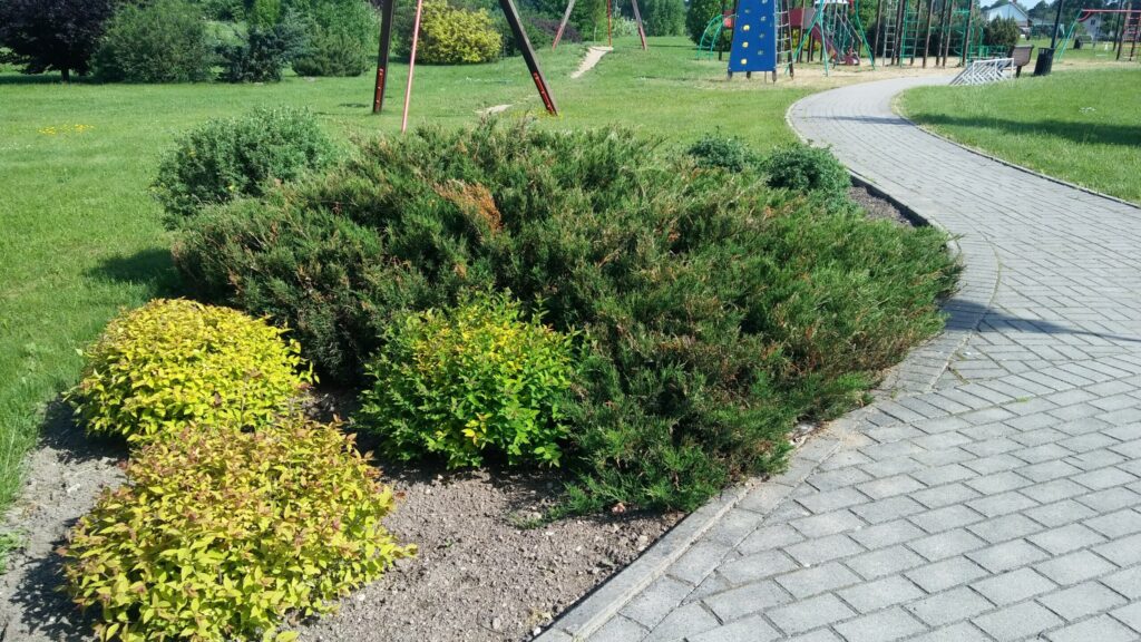 Autors: Foto: Pārsla Konrāde