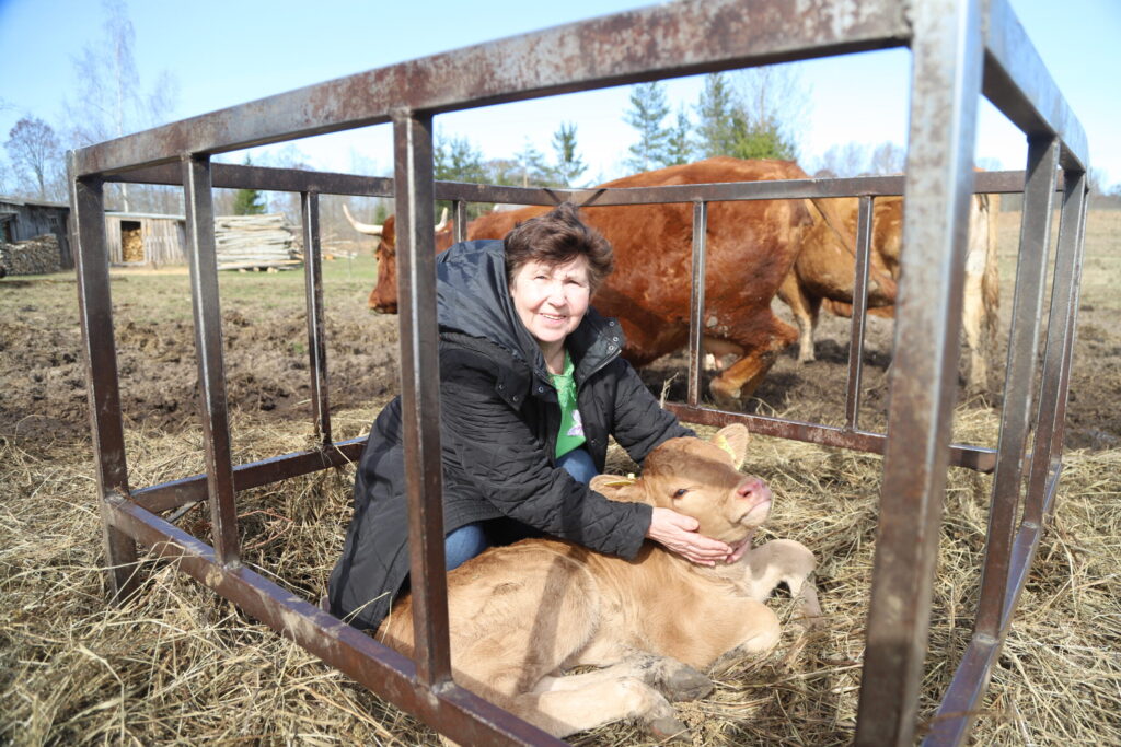 Aluksniesiem.lv raksta attēla aizvietotājs