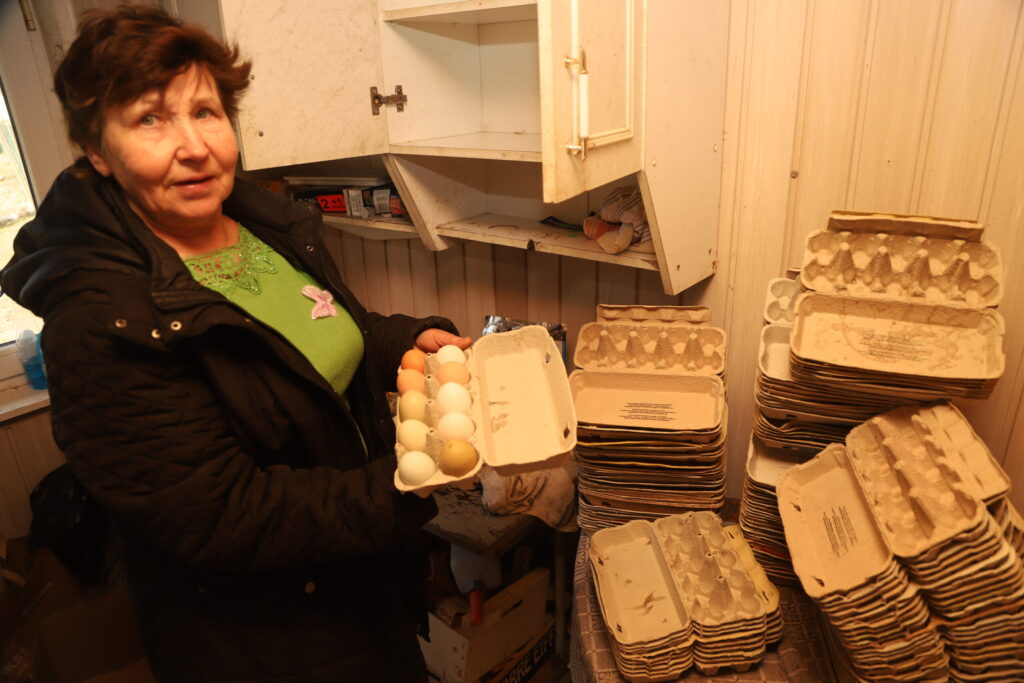 AINAS PUTNIŅAS zemnieku saimniecība “Meteņi” piedāvā vistu olas.
Autors: Foto: Gatis Bogdanovs