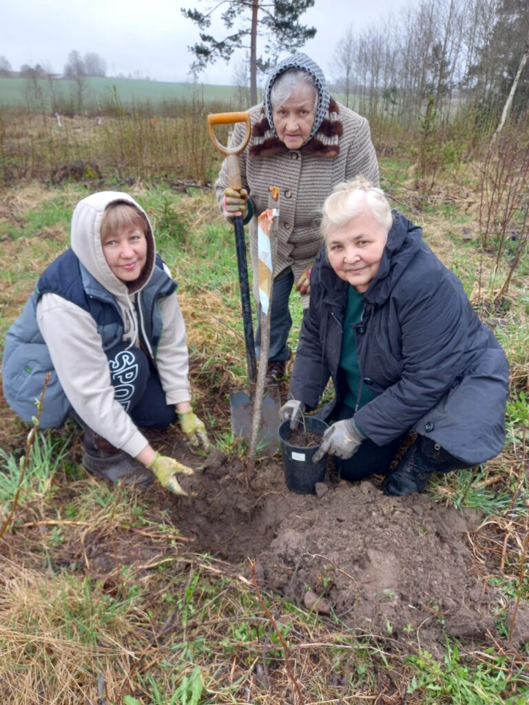 Aluksniesiem.lv raksta attēla aizvietotājs