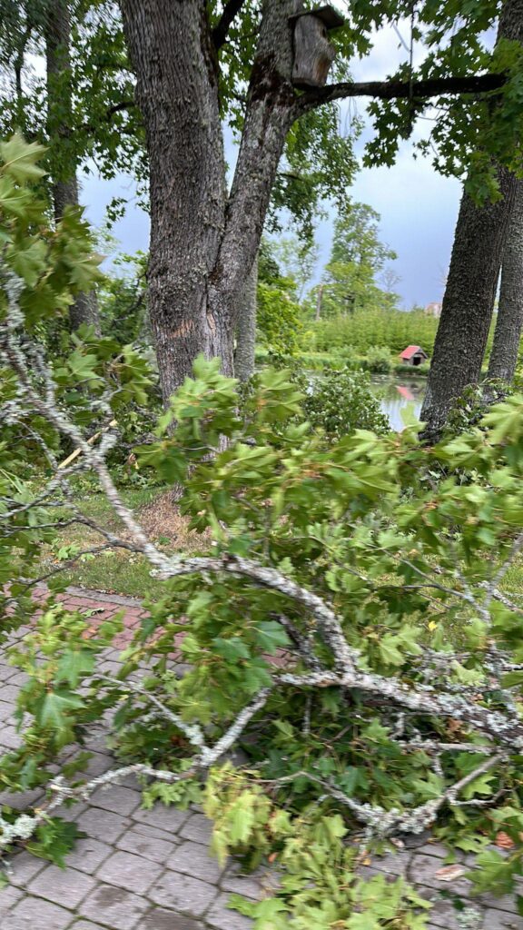 Rankas muiža.
Autors: Foto: no privātā arhīva