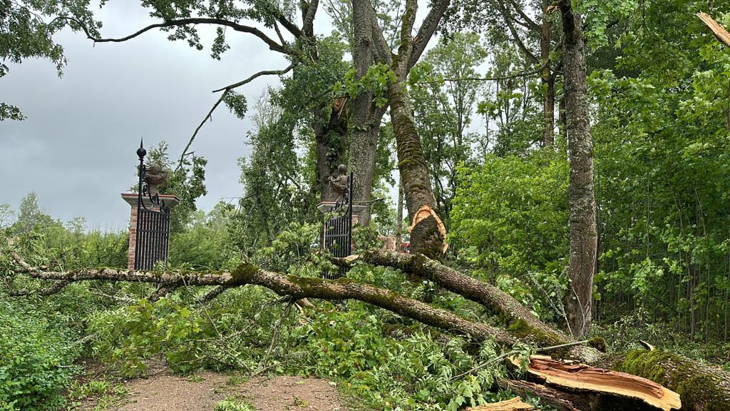 Rankas muiža.
Autors: Foto: no privātā arhīva