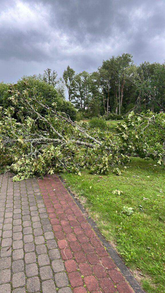 Rankas muiža.
Autors: Foto: no privātā arhīva
