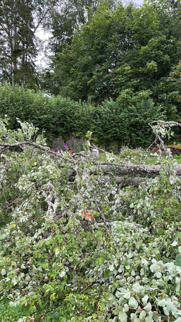 Rankas muiža.
Autors: Foto: no privātā arhīva