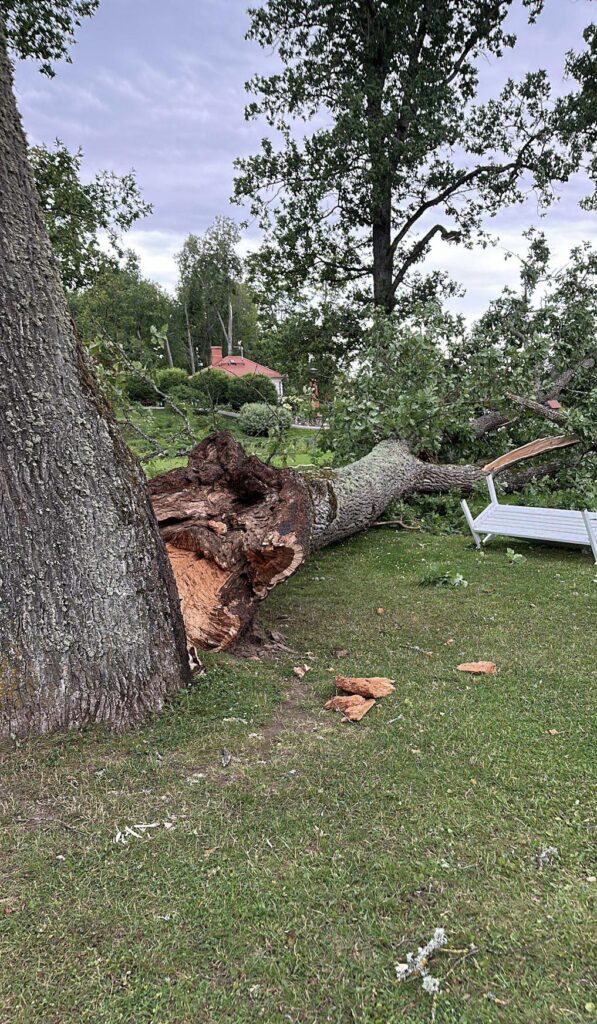 Rankas muiža.
Autors: Foto: no privātā arhīva