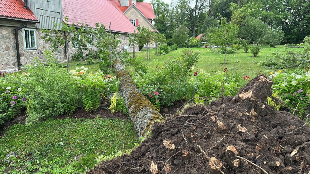 Rankas muiža.
Autors: Foto: no privātā arhīva