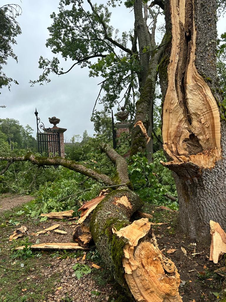 Rankas muiža.
Autors: Foto: no privātā arhīva
