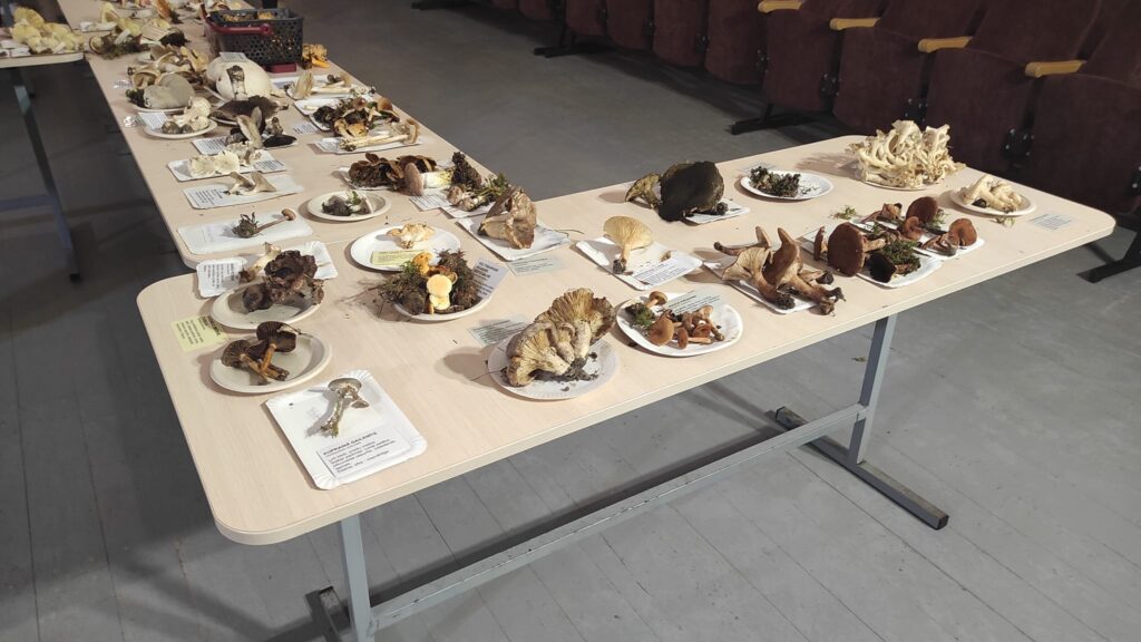 Autors: Foto: no "Rankas bizes" arhīva.