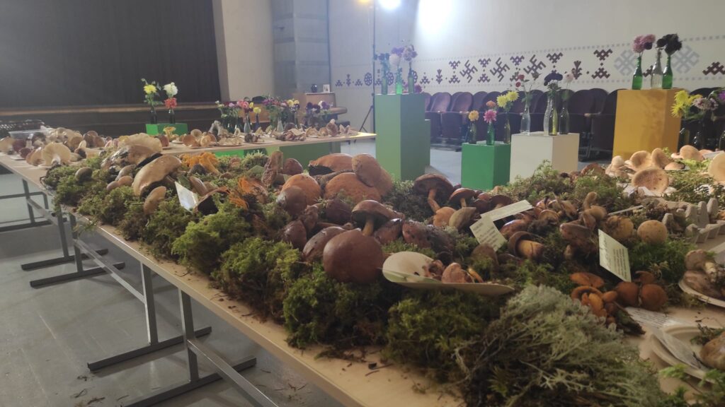 Autors: Foto: no "Rankas bizes" arhīva.