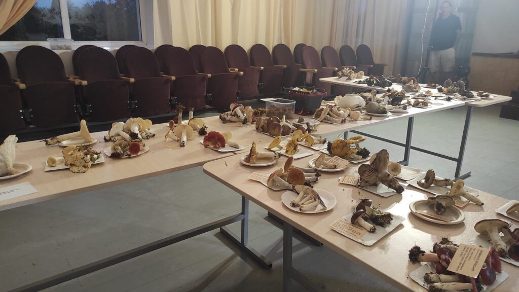 Autors: Foto: no "Rankas bizes" arhīva.