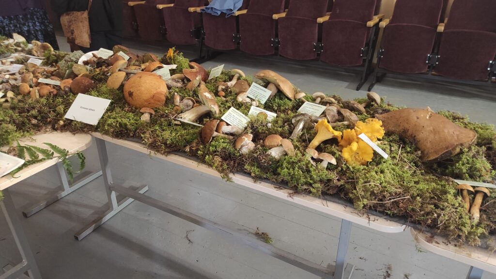 Autors: Foto: no "Rankas bizes" arhīva.