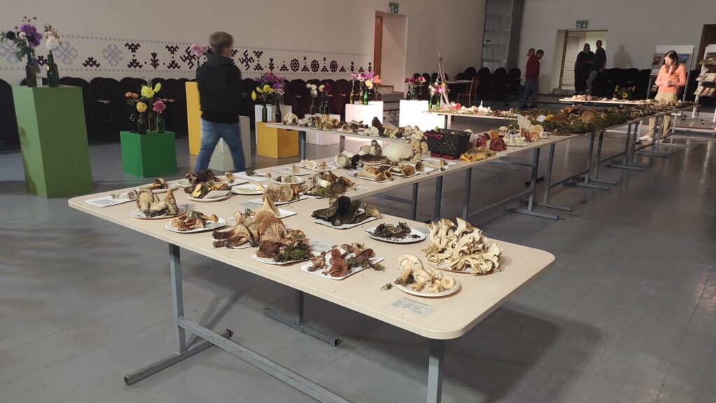 Autors: Foto: no "Rankas bizes" arhīva.