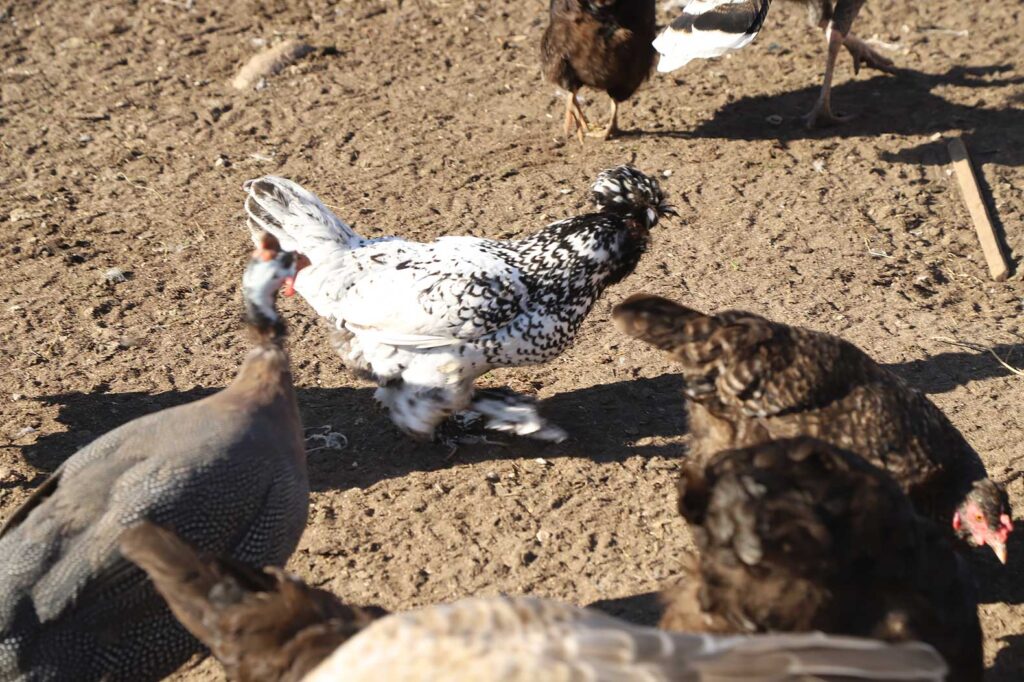 Autors: Foto: Gatis Bogdanovs