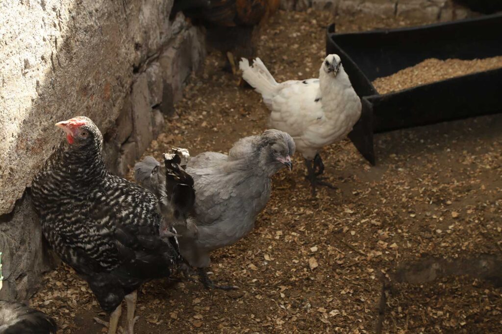 Autors: Foto: Gatis Bogdanovs