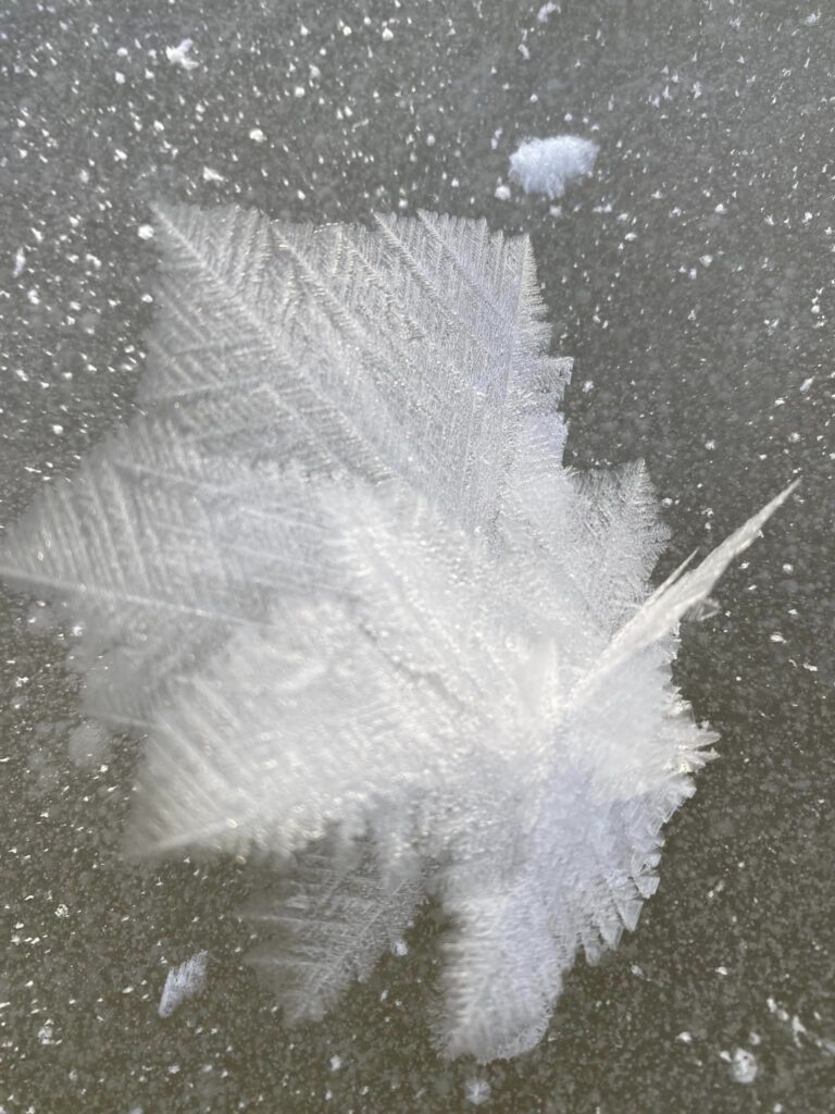 Autors: Foto: Jurijs Prokofjevs