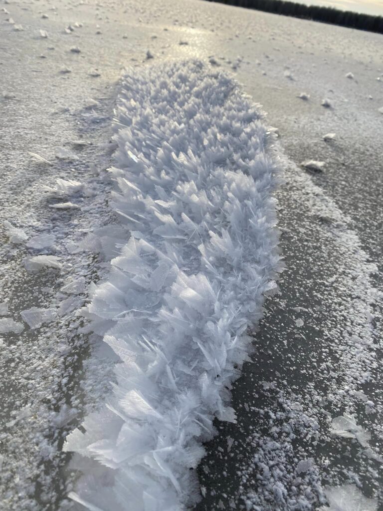 Autors: Foto: Jurijs Prokofjevs