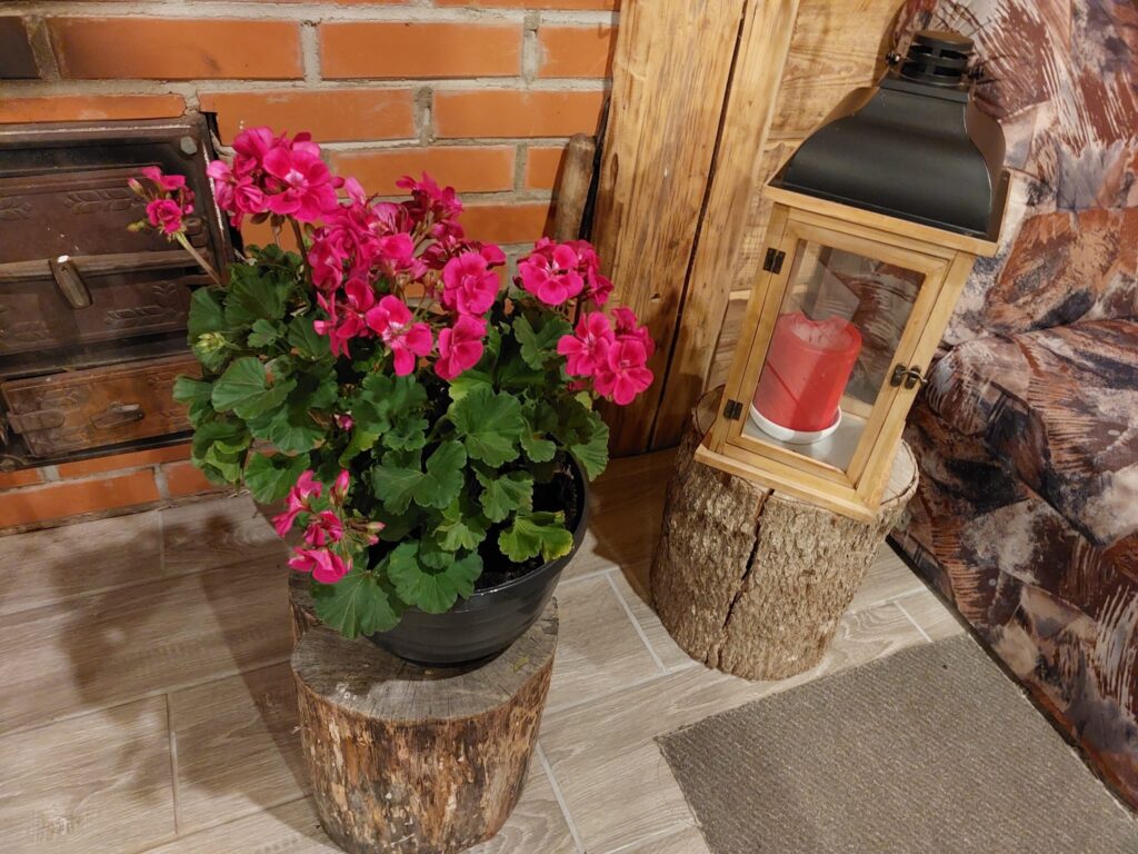 Gaumīgajā degustāciju telpā agrāk atradusies kūts.
Autors: Foto: Pārsla Konrāde