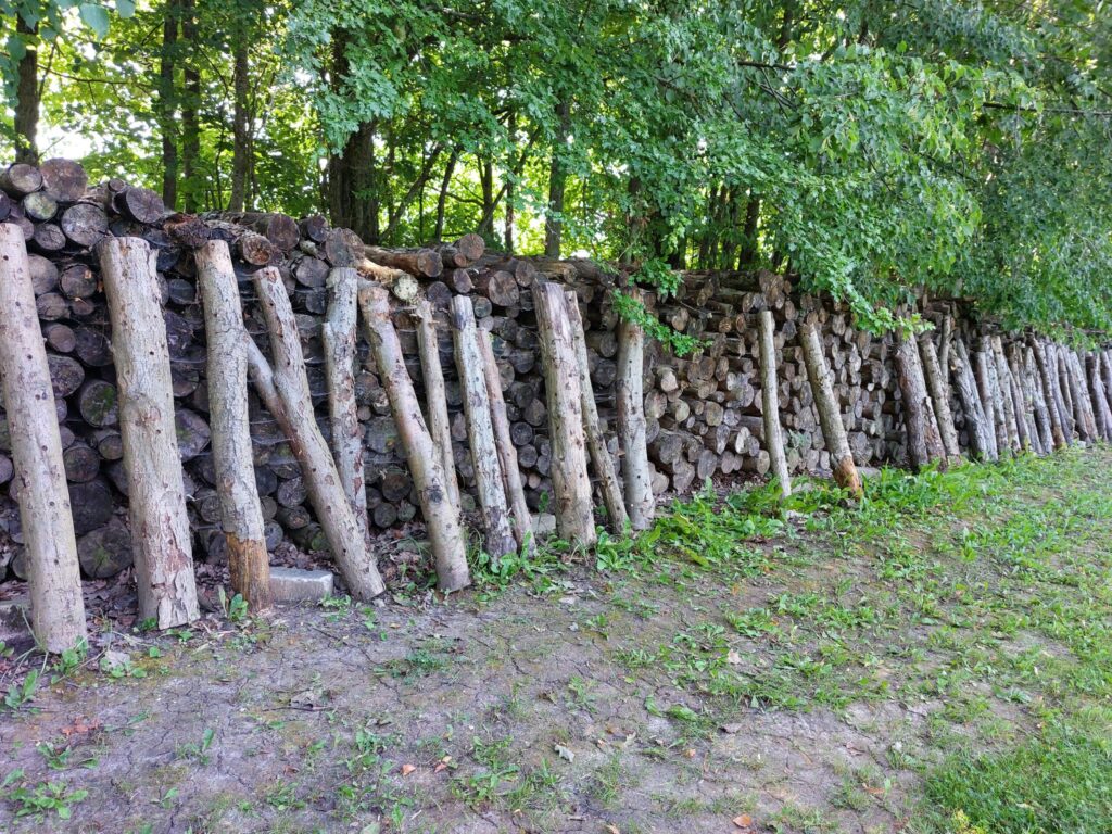 Autors: Foto: Pārsla Konrāde