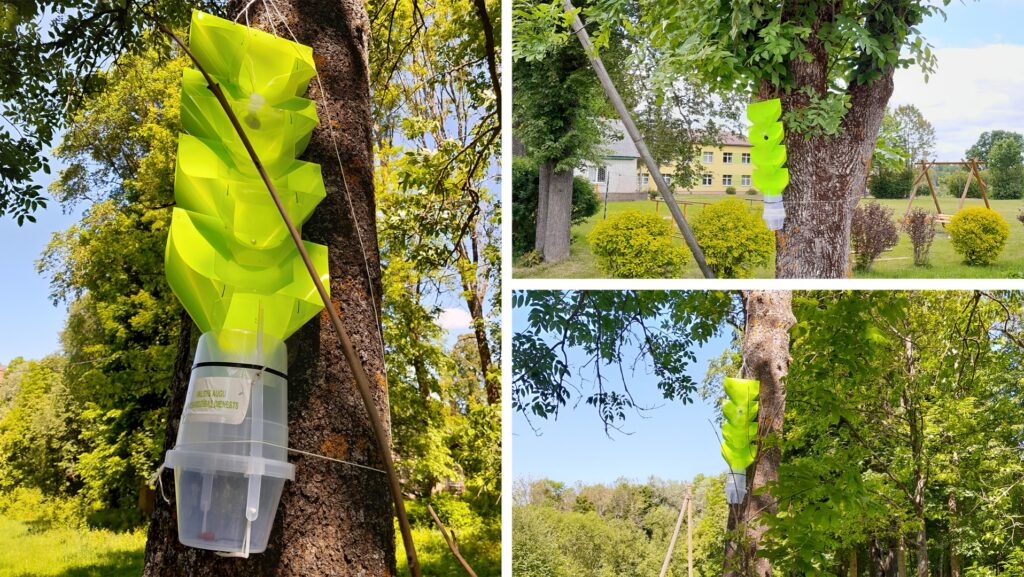 Aluksniesiem.lv raksta attēla aizvietotājs