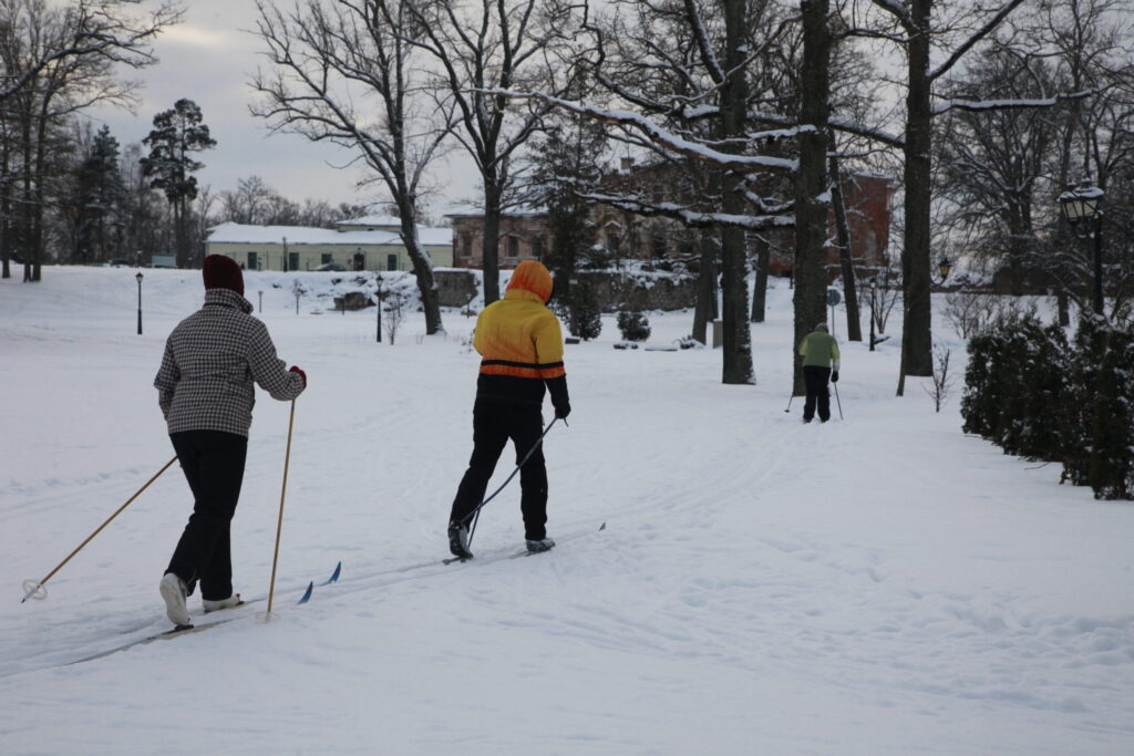 Aluksniesiem.lv raksta attēla aizvietotājs