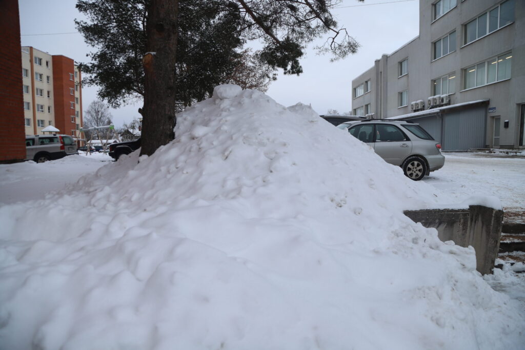 Autors: Foto: Gatis Bogdanovs