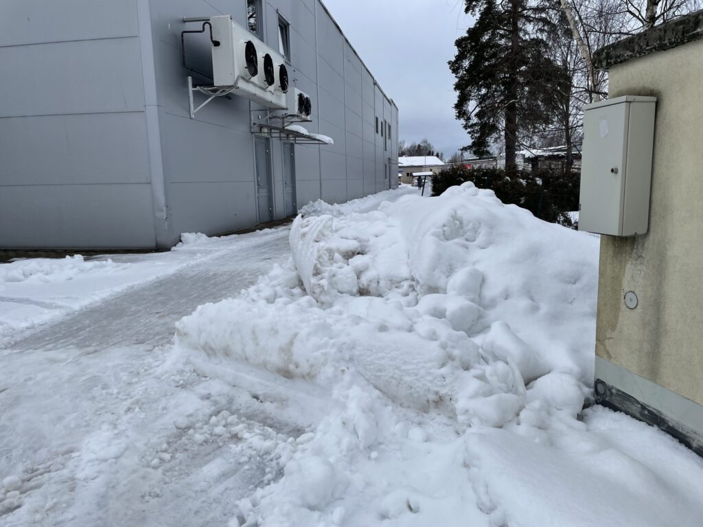 Autors: Diāna Odumiņa