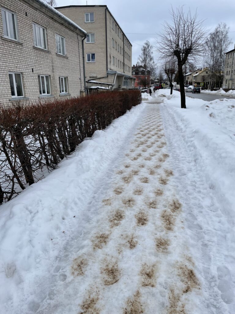 Autors: Diāna Odumiņa