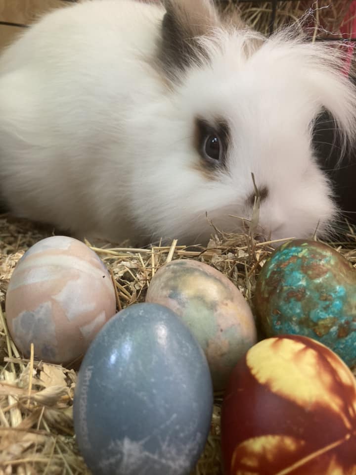 Autors: Foto: Solvita Groznija