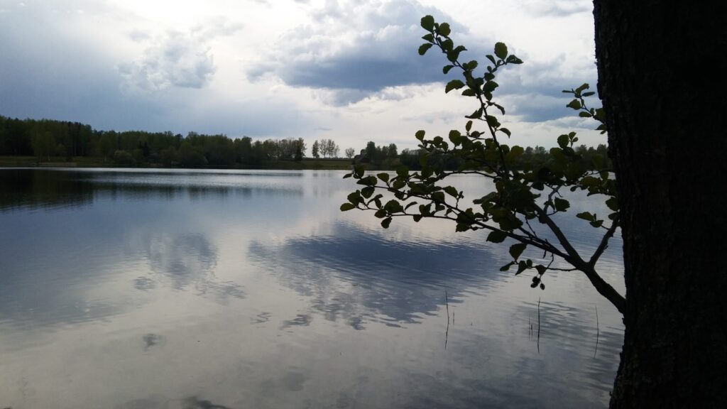 Aluksniesiem.lv raksta attēla aizvietotājs