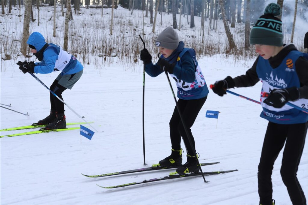 Autors: Foto: Gatis Bogdanovs