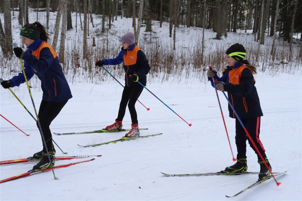 Autors: Foto: Gatis Bogdanovs
