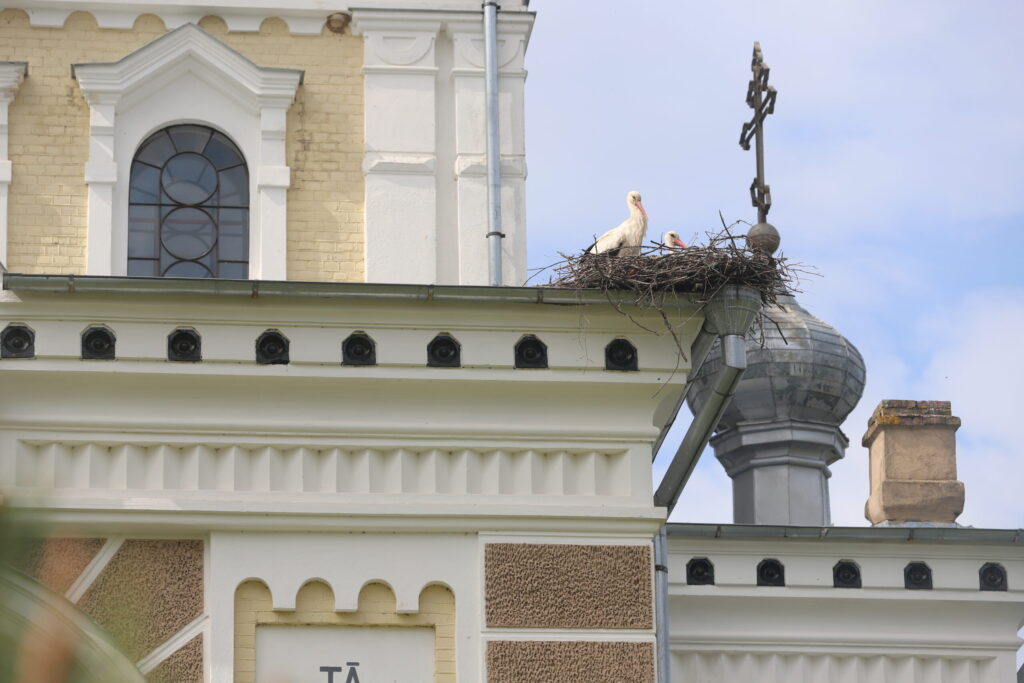 Aluksniesiem.lv raksta attēla aizvietotājs