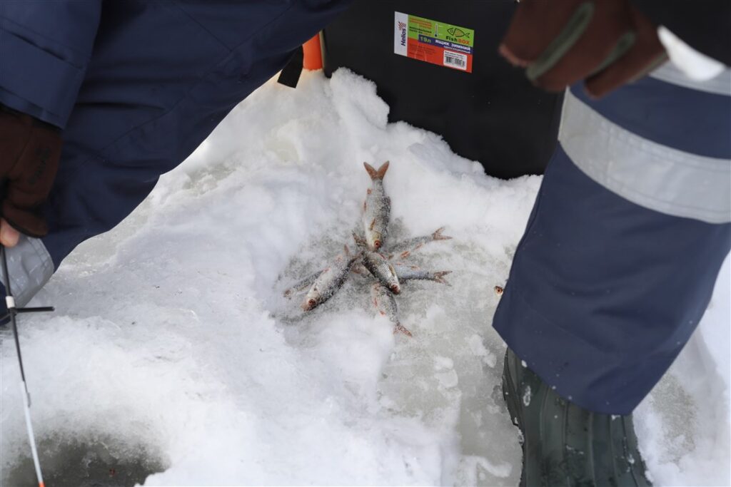 Autors: Foto: Gatis Bogdanovs